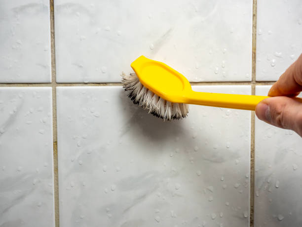 Best Mold Remediation for Schools in Waterflow, NM
