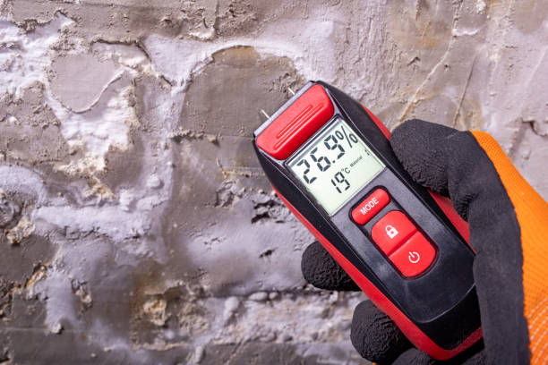Best Bathroom Mold Remediation in Waterflow, NM